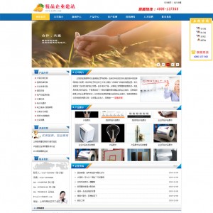 蓝色企业网站 标准DIV+CSS 美观大气适合多个行业