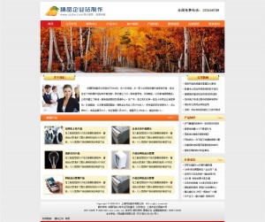 橙色企业站 原创代码 界面简单大方 功能齐全