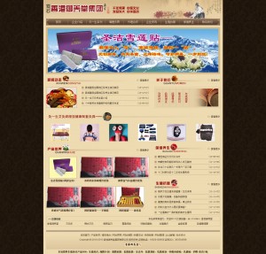 中药古典织梦企业模板