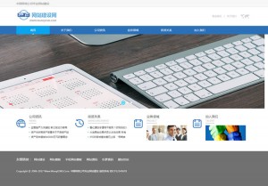 金融投资网站源码 资产监管部门类网站织梦模板