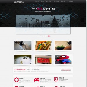 现在比较火的一款美工超酷的工作室源码
