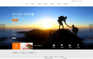 织梦高端大气金融投资公司网站模板